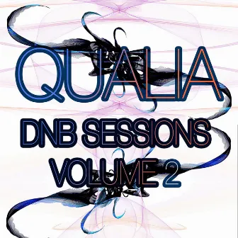 Dnb Sessions, Vol. 2 by Qualia