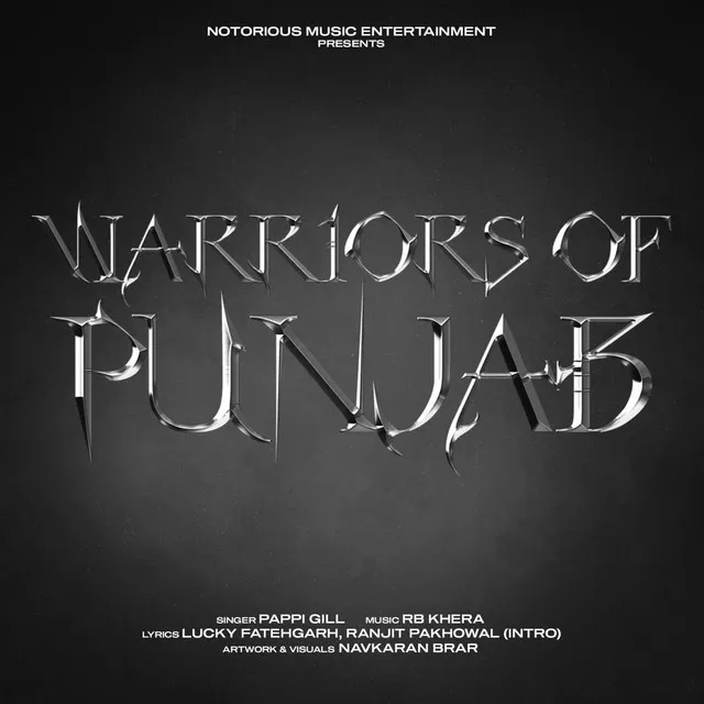 Warriors Of Punjab