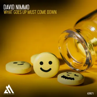 What Goes Up Must Come Down by David Nimmo