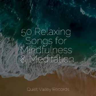 50 Relaxing Songs for Mindfulness & Meditation by The Relaxing Sounds of Water