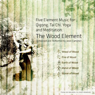 5-Element Music for Qigong, Tai Chi, Yoga and Meditation: The Wood Element by Jason Campbell