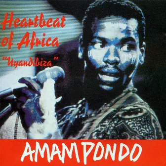 Heartbeat of Africa Uyandibiza by Amampondo