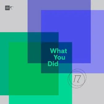 What You Did by TZ