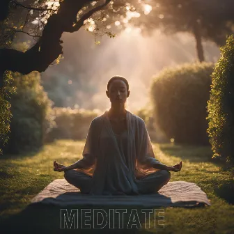 Meditate by The Inceptionists