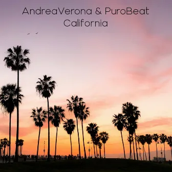 California by Andrea Verona