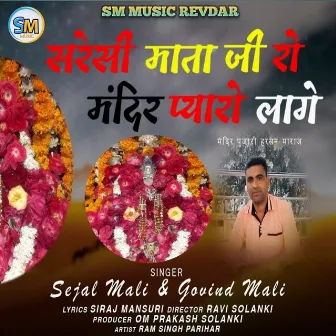 Saresi Mataji Ro Mandir Pyaro Lage by Sejal Mali