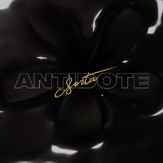 Antidote by Sorta