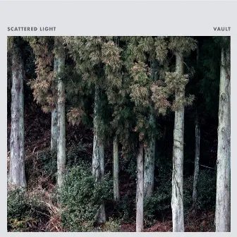 Vault by Scattered Light