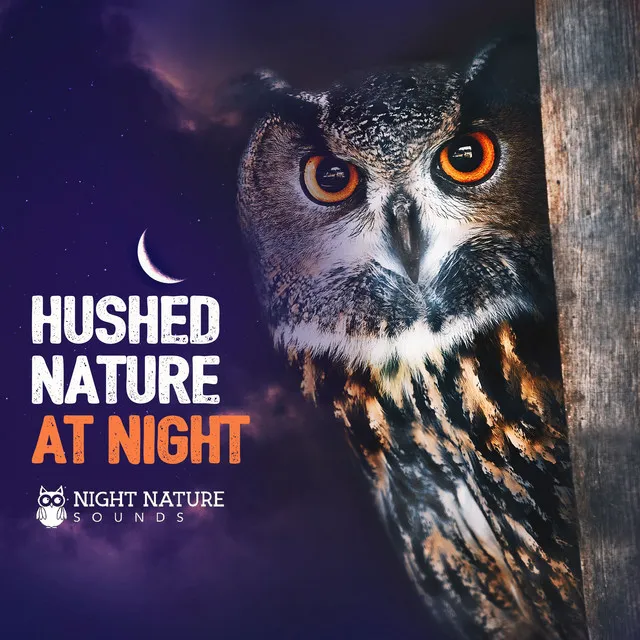 Hushed Nature at Night