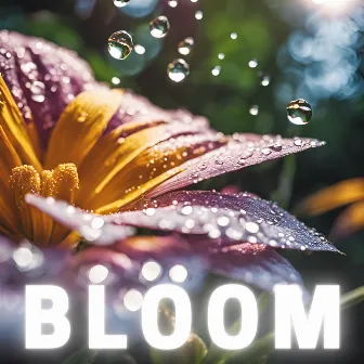 Bloom by Mhino