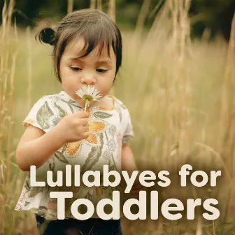 Lullabyes for Toddlers by Toddler Lullabyes