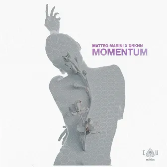 Momentum by DNKNN