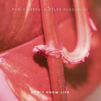 Don't Know Life by Belén Pasqualini