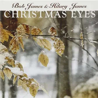 Christmas Eyes by Hilary James