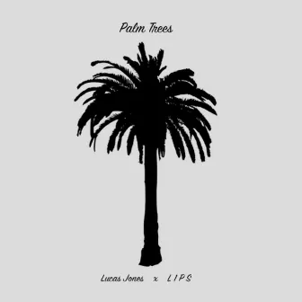 Palm Trees by Lucas Jones