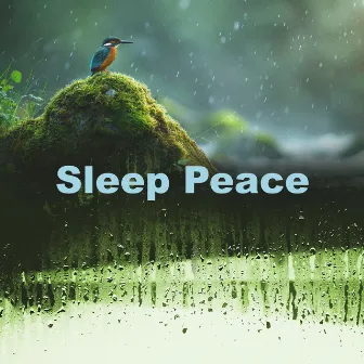 Sleep Peace by Sleep Peace