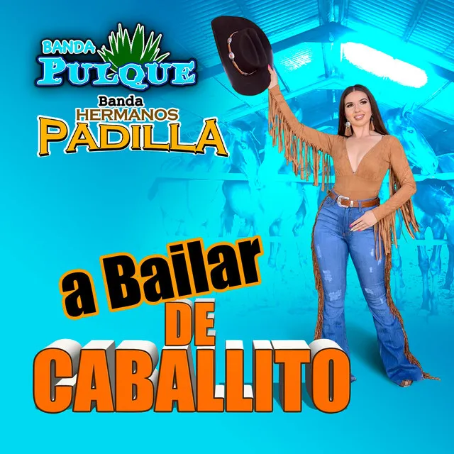 Baile De Caballito (Banda)