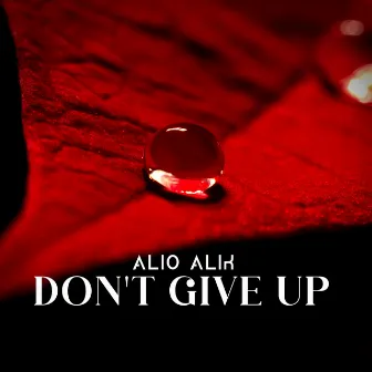 Don't Give up by Alio Alik