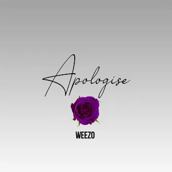 Apologise by Weezo