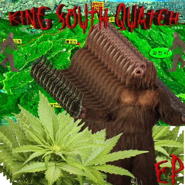 KING SOUTH QUATCH