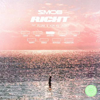 Right (feat. PLUMA & KIM MI JEONG) by Smob