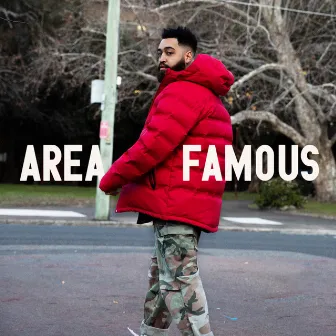 Area Famous by B Wise