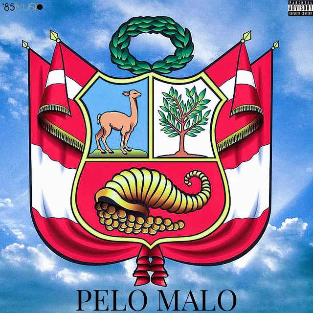 Pelo Malo