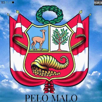 Pelo Malo by Stack Federal Dollahs