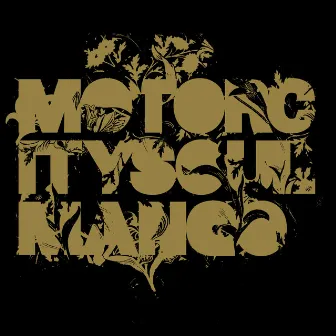 Mango by Motorcitysoul