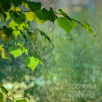 Soothing Rainfall: Relax and Breathe by Sleep Rain