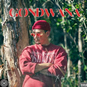 GONDWANA by The Boy Of Many Colors