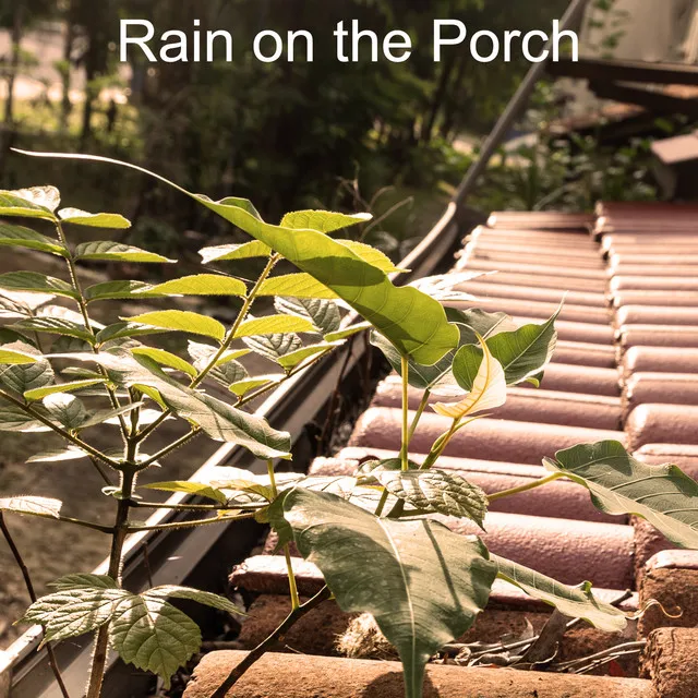 Rain on the Porch