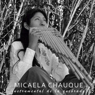 Instrumental de la Quebrada by Micaela Chauque