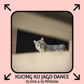 Kucing Ku Jago Dance by DJ Persada