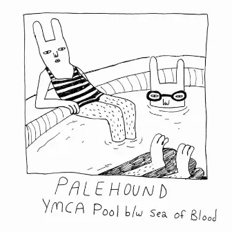 YMCA Pool by Palehound