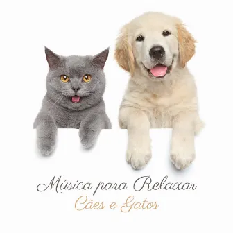 Música para Relaxar Cães e Gatos (Animais de Estimação Tranquilos, Cães Adormecidos, Terapia para Ansiedade de Cachorro e Hiperatividade de Gato) by Academia de Música para Animais