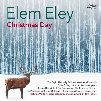 Christmas Day by Elem Eley