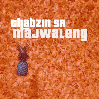 Majwaleng by Thabzin SA