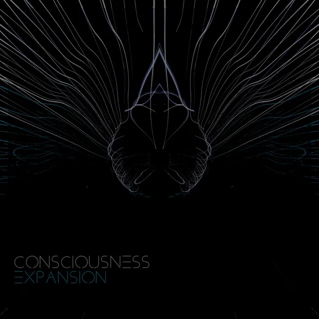 Consciousness Expansion