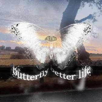 butterfly / better life by antracite