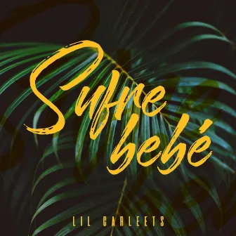 Sufre Bebé by Lil Carleets