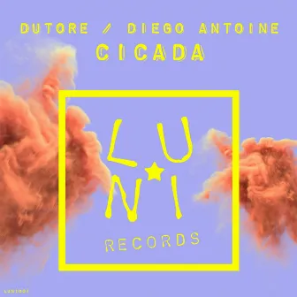 Cicada by Dutore