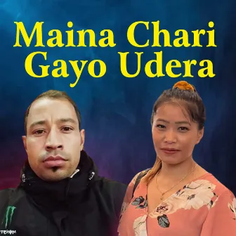 Maina Chari Gayo Udera by Unknown Artist