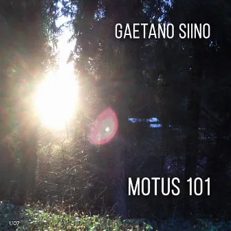 Motus 101 by Gaetano Siino