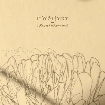 Sóley Frá Síðasta Vori by Tríóið Fjarkar