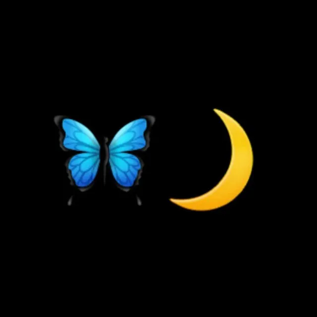 Butterflies in the Night Sky