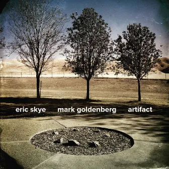 Artifact by Mark Goldenberg