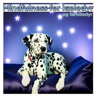 Mindfulness for kæledyr og familiedyr: Dyb afslapning Stressfri by Hvid Hund