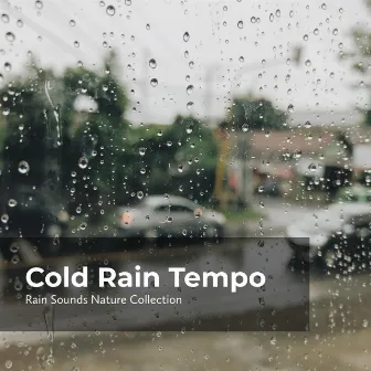 Cold Rain Tempo by Sleepy Rain