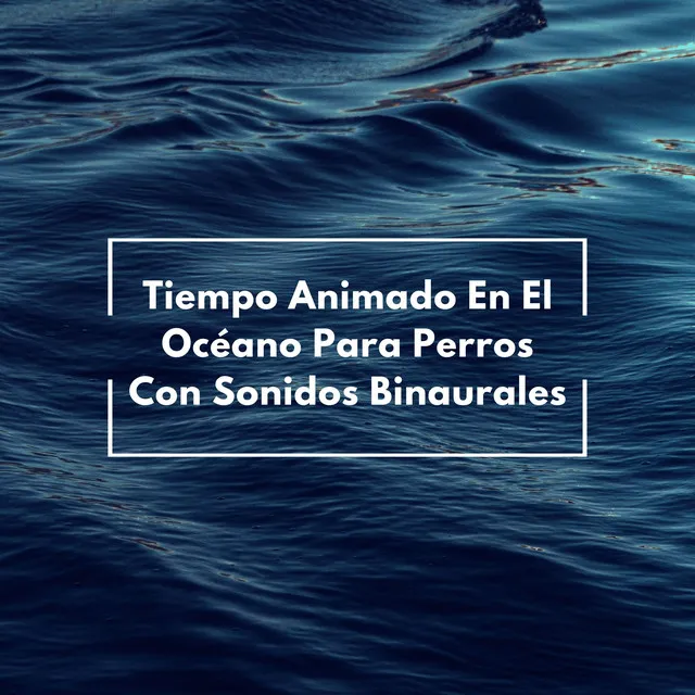 Tiempo Animado En El Océano Para Perros Con Sonidos Binaurales